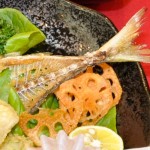 あじ&レンコンチップス