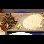 まきまき手焼き春巻き
